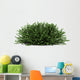 Coral Beauty Bush White Wall Decal
