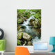 Forest Spring