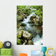 Forest Spring