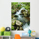 Forest Spring