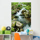 Forest Spring