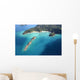 Neuseeland Wall Decal
