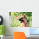 German Sheepdog Portrait Wall Mural