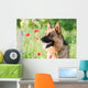 German Sheepdog Portrait Wall Mural