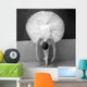 Ballet Dancer Wall Mural