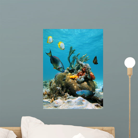 Water Surface and Marine