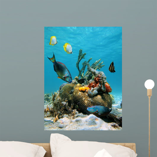 Water Surface and Marine