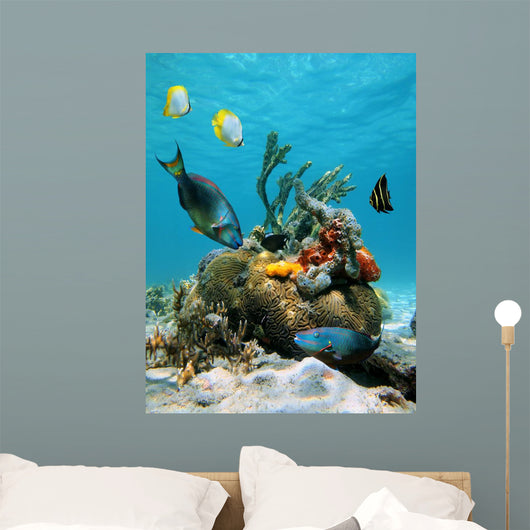 Water Surface and Marine