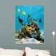 Water Surface and Marine