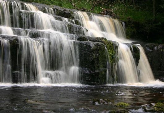 Orgate Force