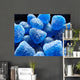 Blue Candy