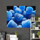 Blue Candy