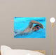 Swimmer
