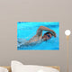 Swimmer