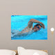 Swimmer