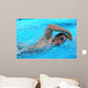 Swimmer