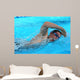 Swimmer