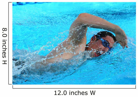 Swimmer
