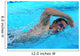 Swimmer