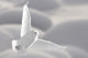 Snowy Owl Flight