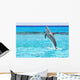 Dolphin jumping in the Caribbean Sea of Mexico Wall Mural