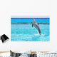 Dolphin jumping in the Caribbean Sea of Mexico Wall Mural