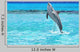 Dolphin jumping in the Caribbean Sea of Mexico Wall Mural