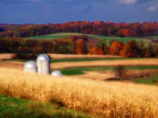Farmland Wall Decal