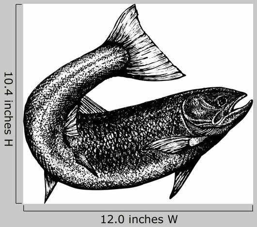 Highly Detailed Sketch Salmon