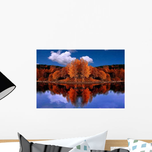 Mirrored Autumn Forest Wall Decal
