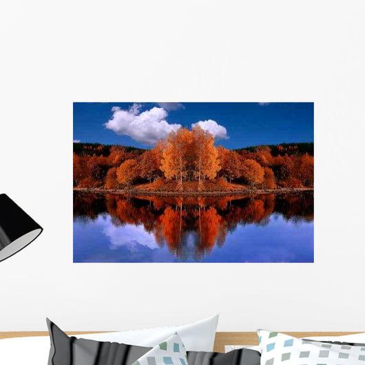 Mirrored Autumn Forest Wall Decal