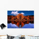 Mirrored Autumn Forest Wall Decal