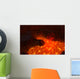 Lava Lake Wall Mural