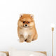 spitz dog Wall Mural