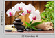 Spa Concept