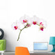 Orchid Wall Decal