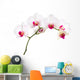 Orchid Wall Decal
