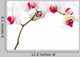 Orchid Wall Decal