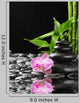 Orchid