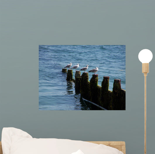 Four Seagulls Breakwater