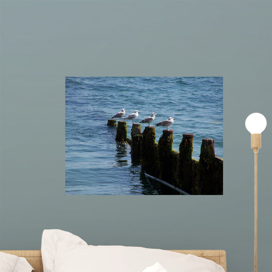 Four Seagulls Breakwater