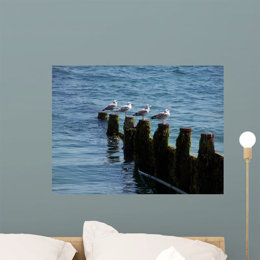 Four Seagulls Breakwater