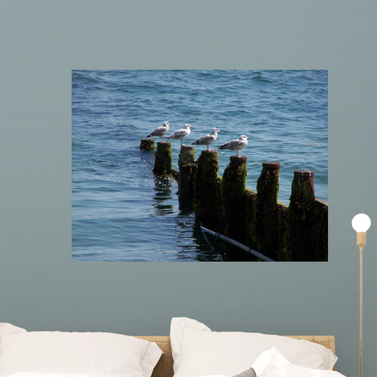 Four Seagulls Breakwater