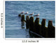 Four Seagulls Breakwater