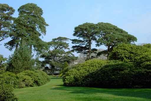 Muckross Gardens Wall Decal