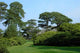 Muckross Gardens Wall Decal