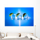 Tequila Wall Mural