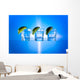 Tequila Wall Mural