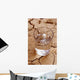 Drought Wall Decal