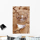 Drought Wall Decal
